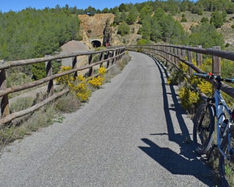 db3e3eb7 873f 4105 b7e9 2430c18a3ba7 16 9 aspect ratio 1600w 0