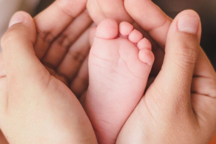 1015 Primers passos scaled 1