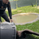 7f71871f 5124 46cd 8aa5 8b4fde21e5ad