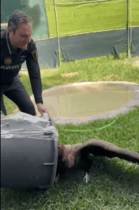 7f71871f 5124 46cd 8aa5 8b4fde21e5ad