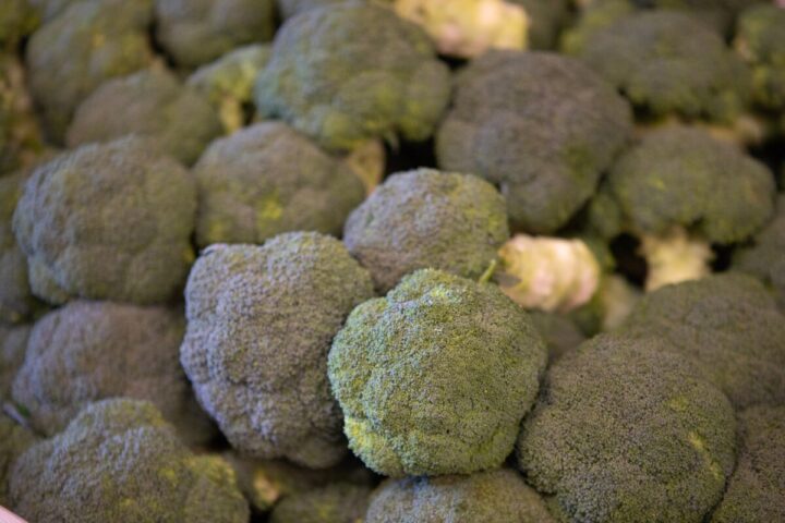 Brocoli europeo Una Europa Mas Saludable scaled 1