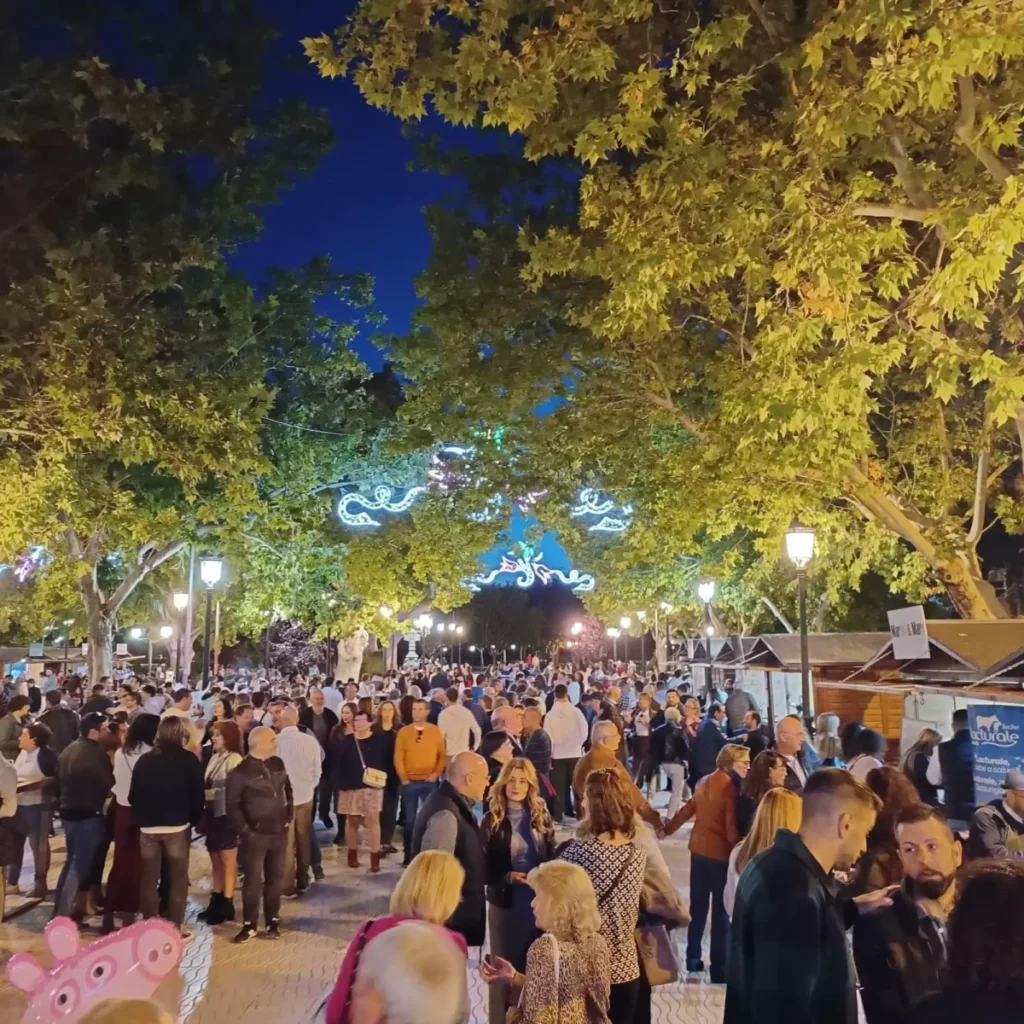 c0c1d44e 40f3 4eed 9905 4a3142c81ffb source aspect ratio default 0 scaled 1