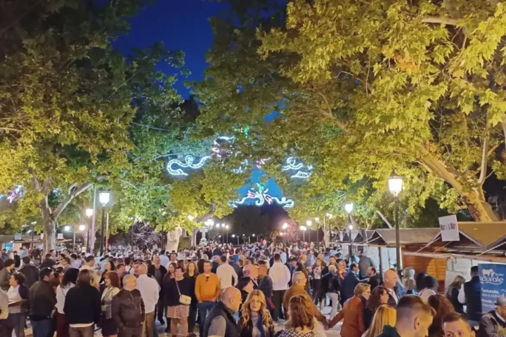 c0c1d44e 40f3 4eed 9905 4a3142c81ffb source aspect ratio default 0 scaled 1