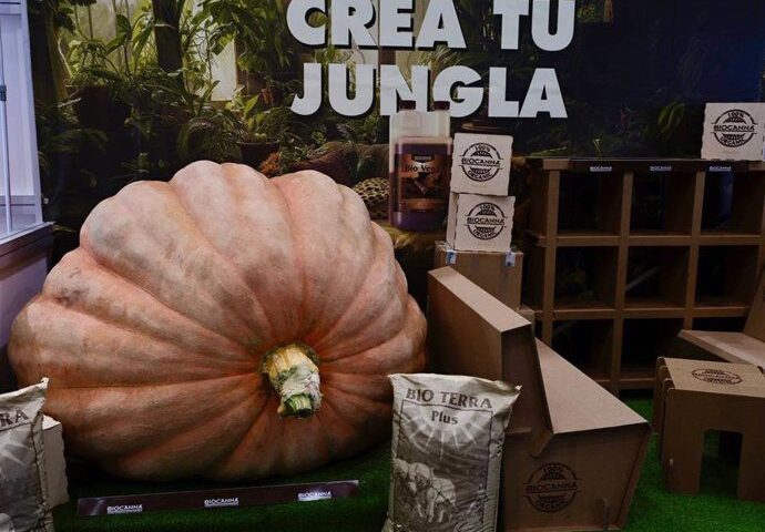 fotonoticia 20251014175034 690