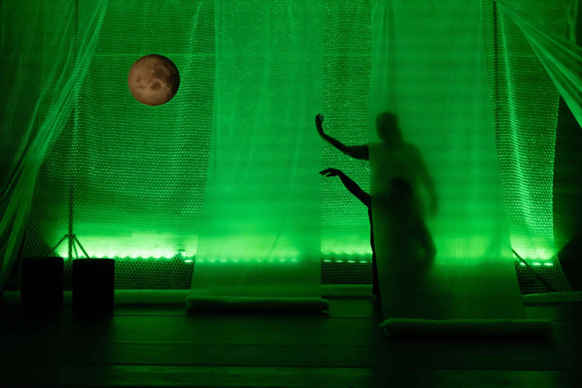 “Dadadoo”, un viaje sonoro por la selva y el mar en la Sala L’Horta 1 unnamed 70 scaled 1