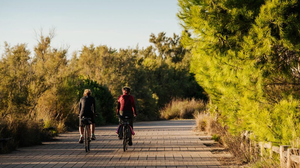 1111 Senda blava del Saler web