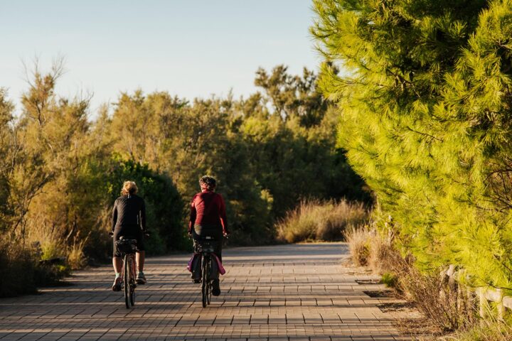 1111 Senda blava del Saler web