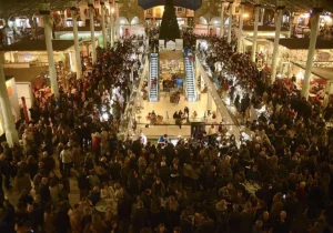 207307185 1200x840 1