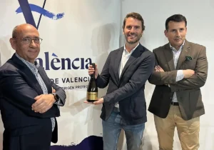 207784648 1200x840 1