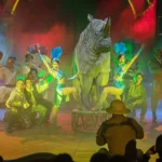 207866585 1200x840 1