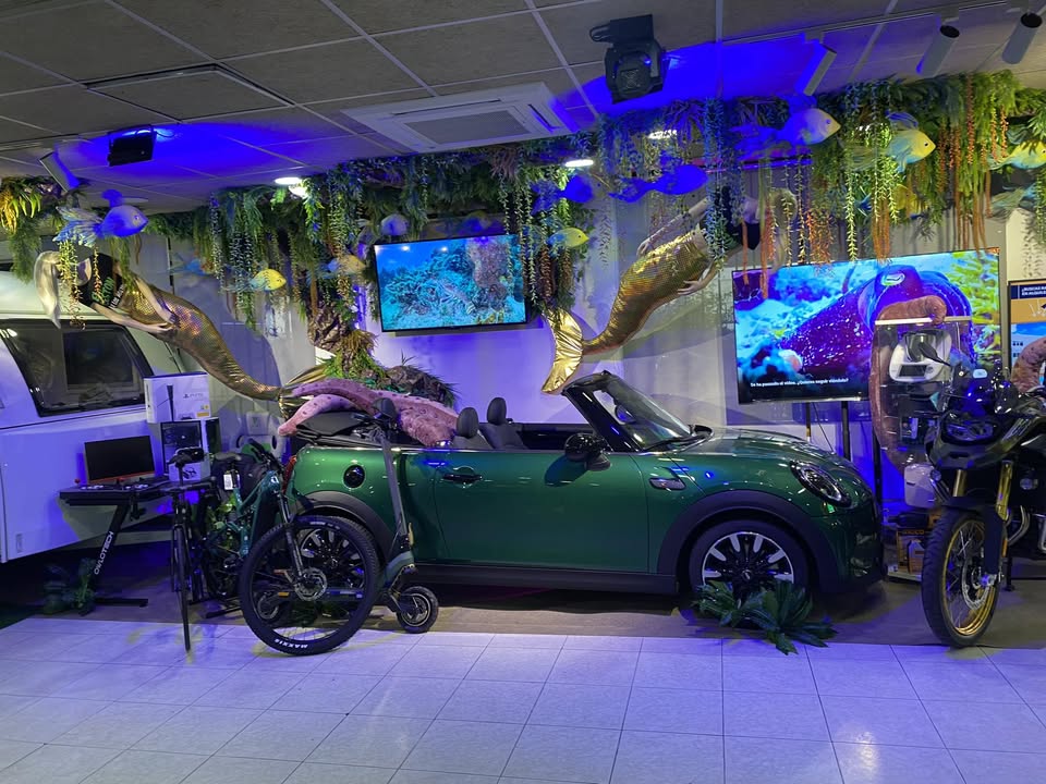 483968709 968933118697781 5077328740857017023 n