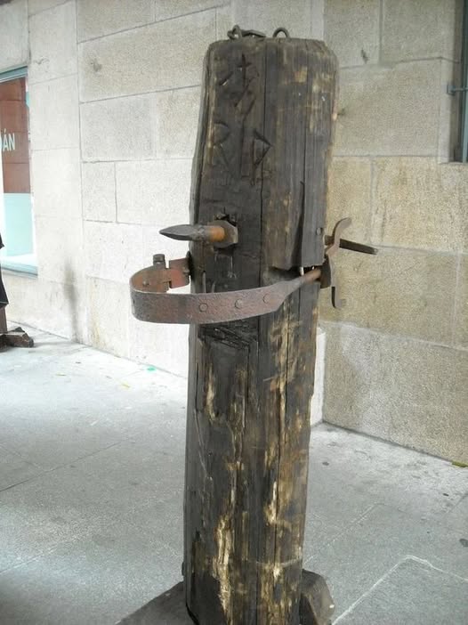 572231365 1236074681889940 7610810646793337258 n