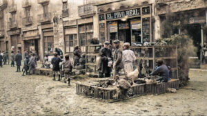 587263218 1200613938647693 2706908630603853851 n fotor 20251121181929