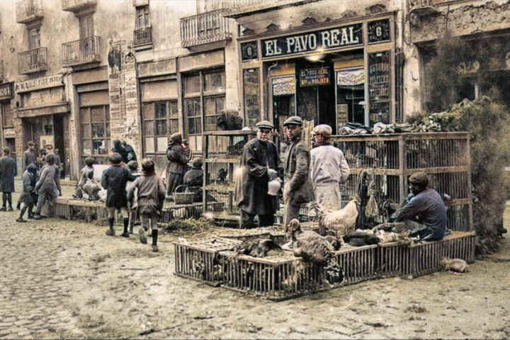 587263218 1200613938647693 2706908630603853851 n fotor 20251121181929