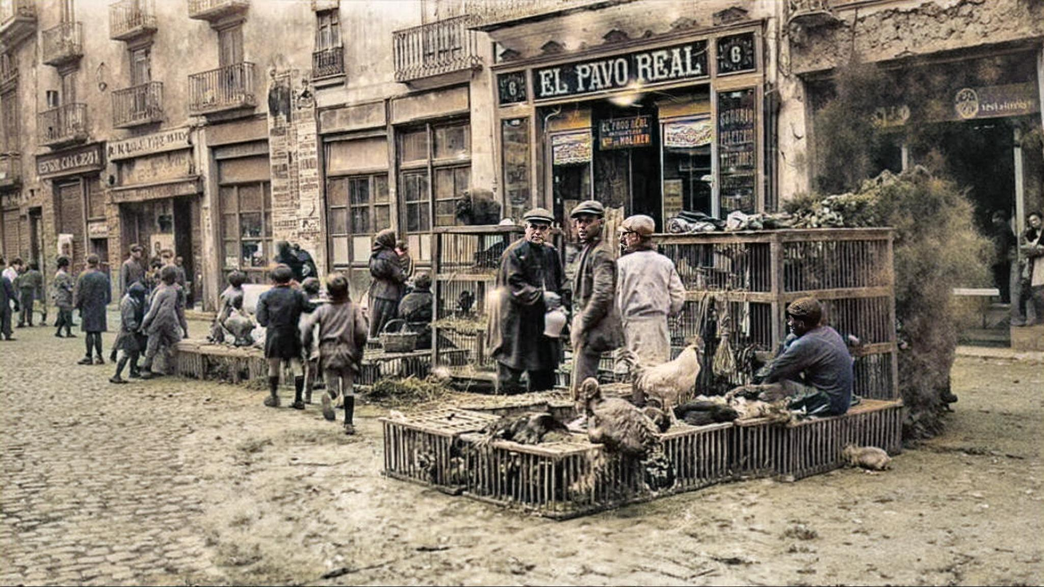 587263218 1200613938647693 2706908630603853851 n fotor 20251121181929