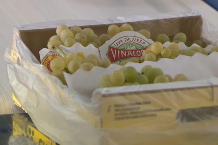 5c642353 ad2c 485d 9e9d 1a22f1b5eeec 16 9 aspect ratio 1600w 0 1 scaled 1