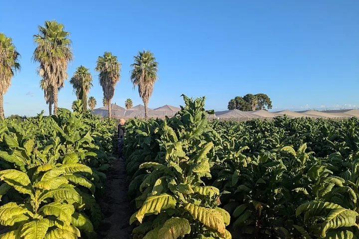 653a0db48fe26257eec0aed4d1eb3d63016413be