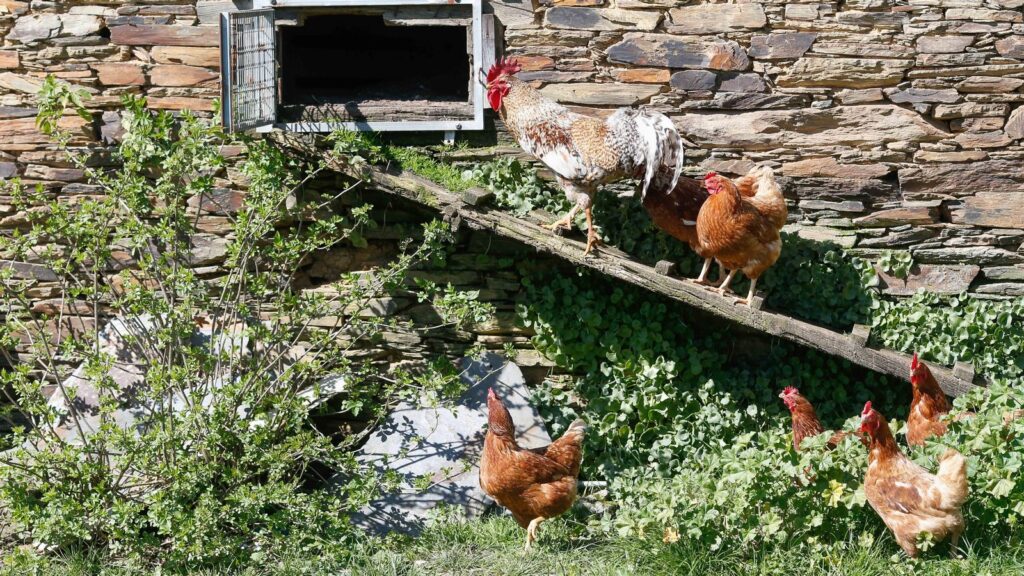 6ff0bc1f 962c 437e b942 dbbc4a0f8790 16 9 aspect ratio 1600w 0 1