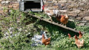 6ff0bc1f 962c 437e b942 dbbc4a0f8790 16 9 aspect ratio 1600w 0 1