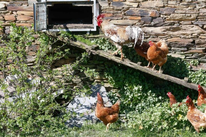 6ff0bc1f 962c 437e b942 dbbc4a0f8790 16 9 aspect ratio 1600w 0 1