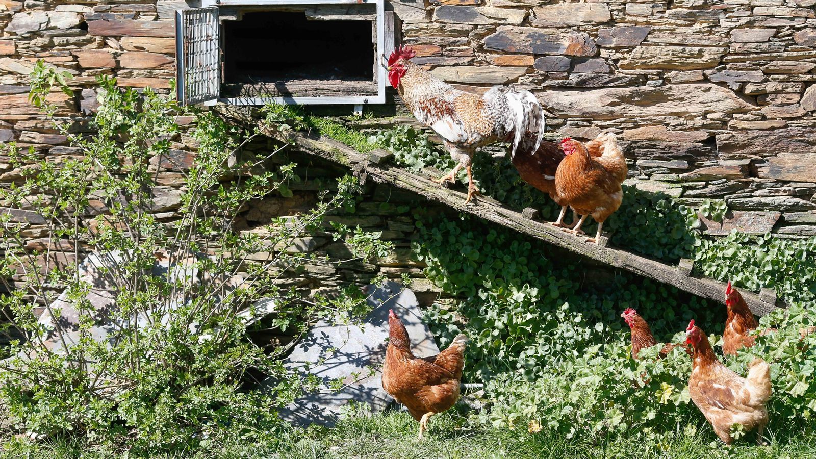 6ff0bc1f 962c 437e b942 dbbc4a0f8790 16 9 aspect ratio 1600w 0 1