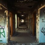 78401409 2210088319092045 2575514677060567040 n