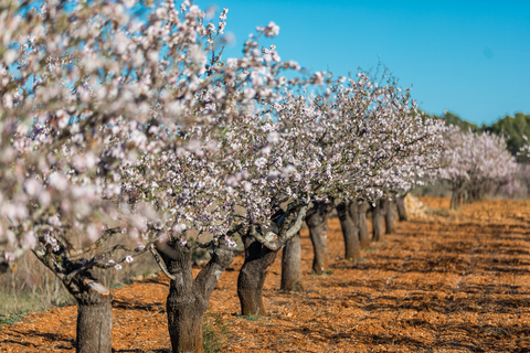 7H9A6892 29D307EB54A64188AC51EC57362DA3FCsize small