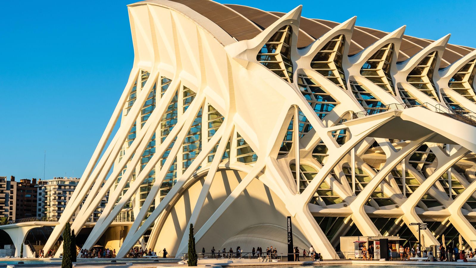 7fda3dac 7e99 45d3 806c e7caee927690 16 9 aspect ratio 1600w 0