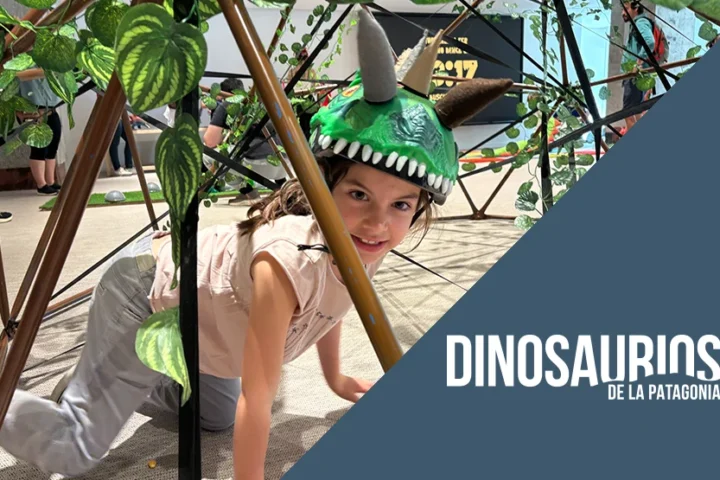 A CC 05161 0005 PF 2 spa2