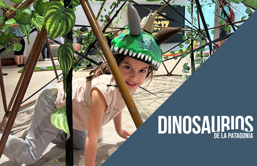 A CC 05161 0005 PF 2 spa2