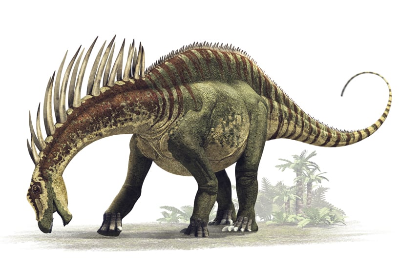 A CC 05675 0003 PF 2 spa2