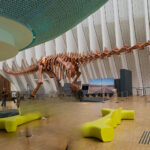 Academia de dinosaurios para ninos en CaixaForum