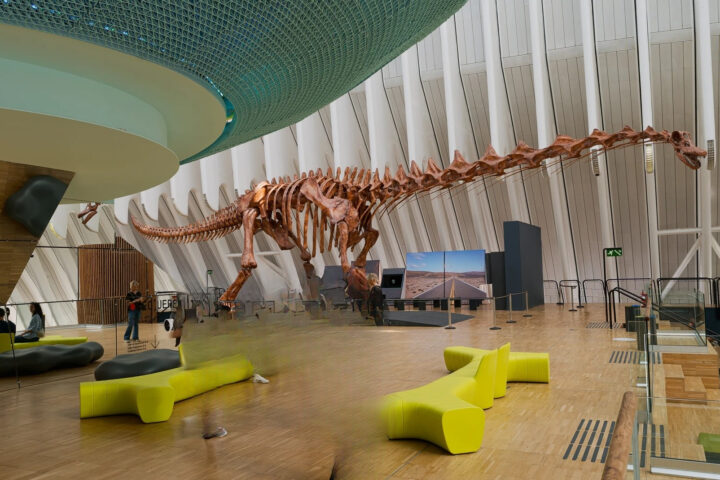 Academia de dinosaurios para ninos en CaixaForum