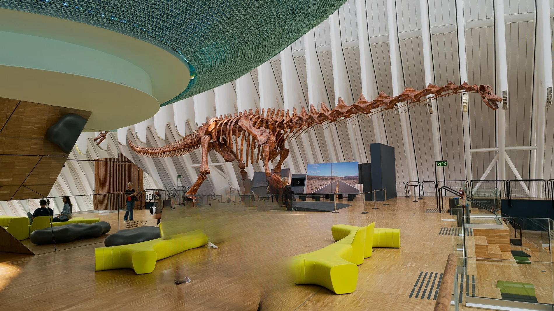 Academia de dinosaurios para ninos en