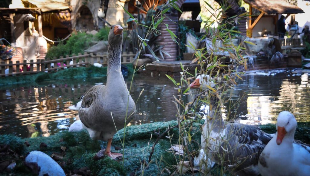 Belen Monumental de Xativa 10