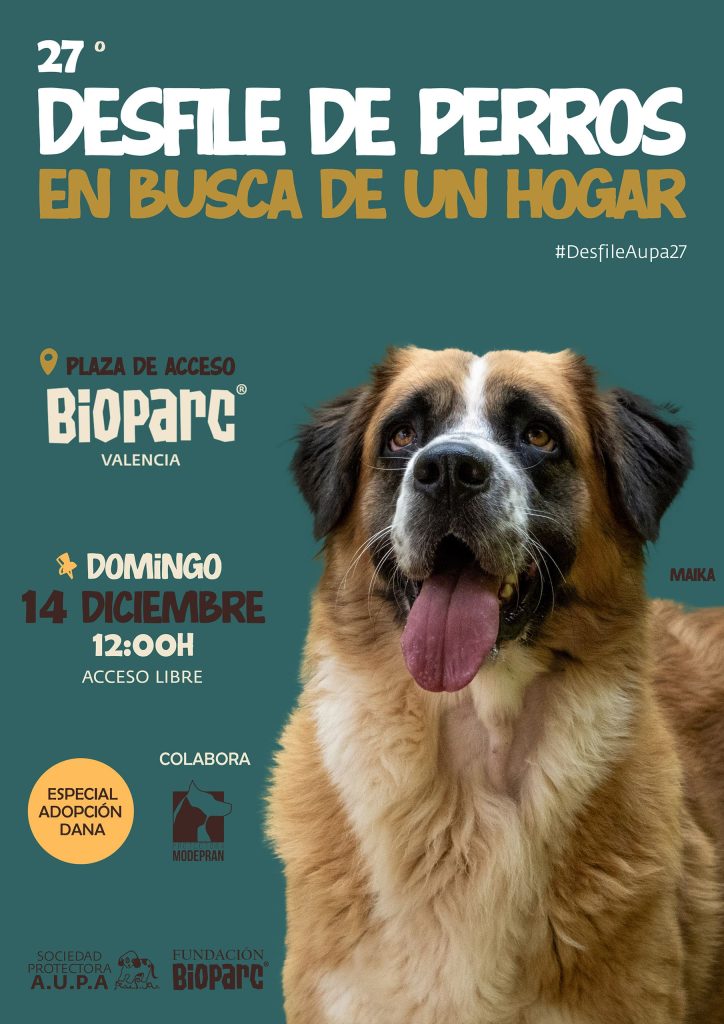 Cartel web 27 desfile de perros en busca de un hogar AUPA BIOPARC 2025 724x1024 1