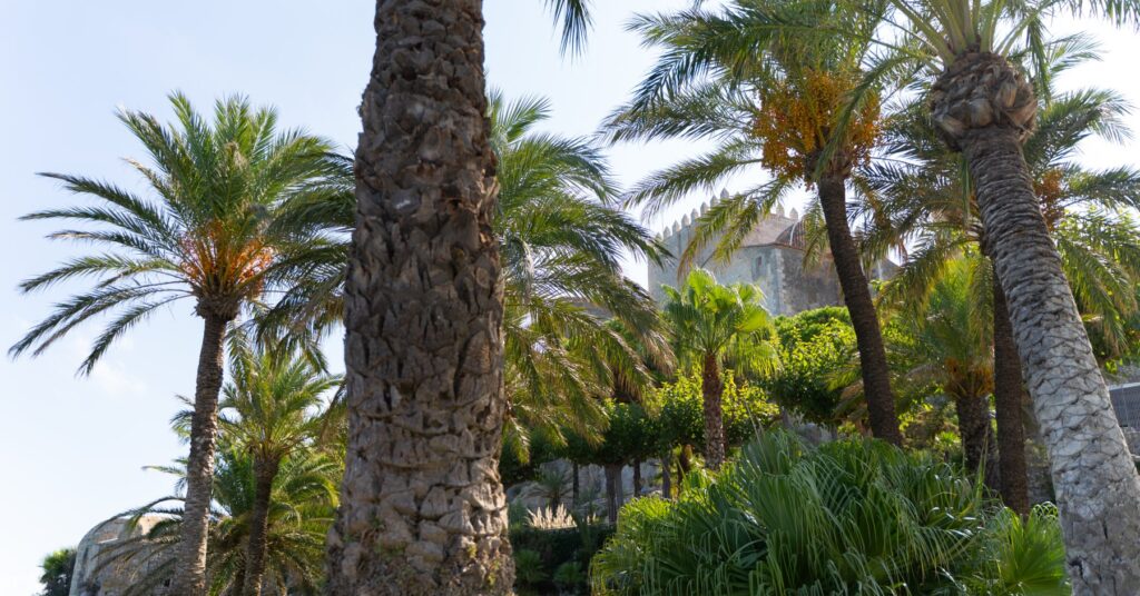 Mapa de rodajes en Peñíscola: un recorrido cinematográfico junto al mar 4 G42jG21XwAAMKmO