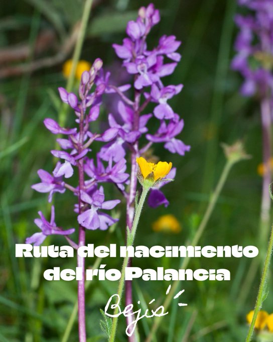 Ruta al nacimiento del río Palancia: naturaleza en su esencia 2 G4qjpKYWUAEAAXE