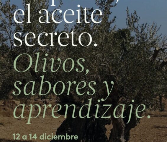 IMG 20251110 WA0005 scaled 1