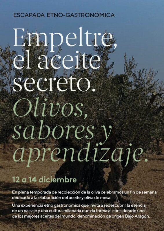 IMG 20251110 WA0005 scaled 1