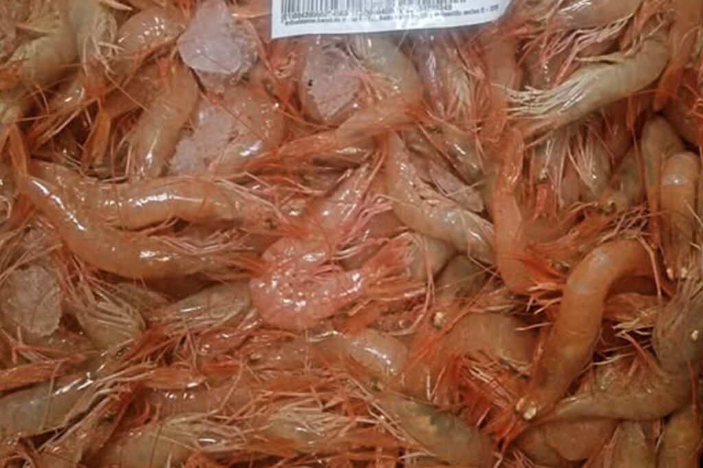 Cullera celebra el I Concurso Nacional “Arroz del Senyoret by La Mar Salá” 4 Imagen de WhatsApp 2025 11 11 a las 19.53.00 079cb49c