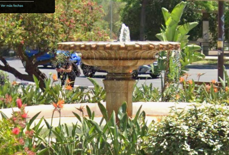 La fuente del antiguo Mercado de Flores el vestigio oculto en Llano de Zaidia 2