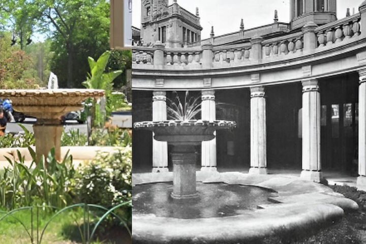 La fuente del antiguo Mercado de Flores el vestigio oculto en Llano de Zaidia fotor 202511239532