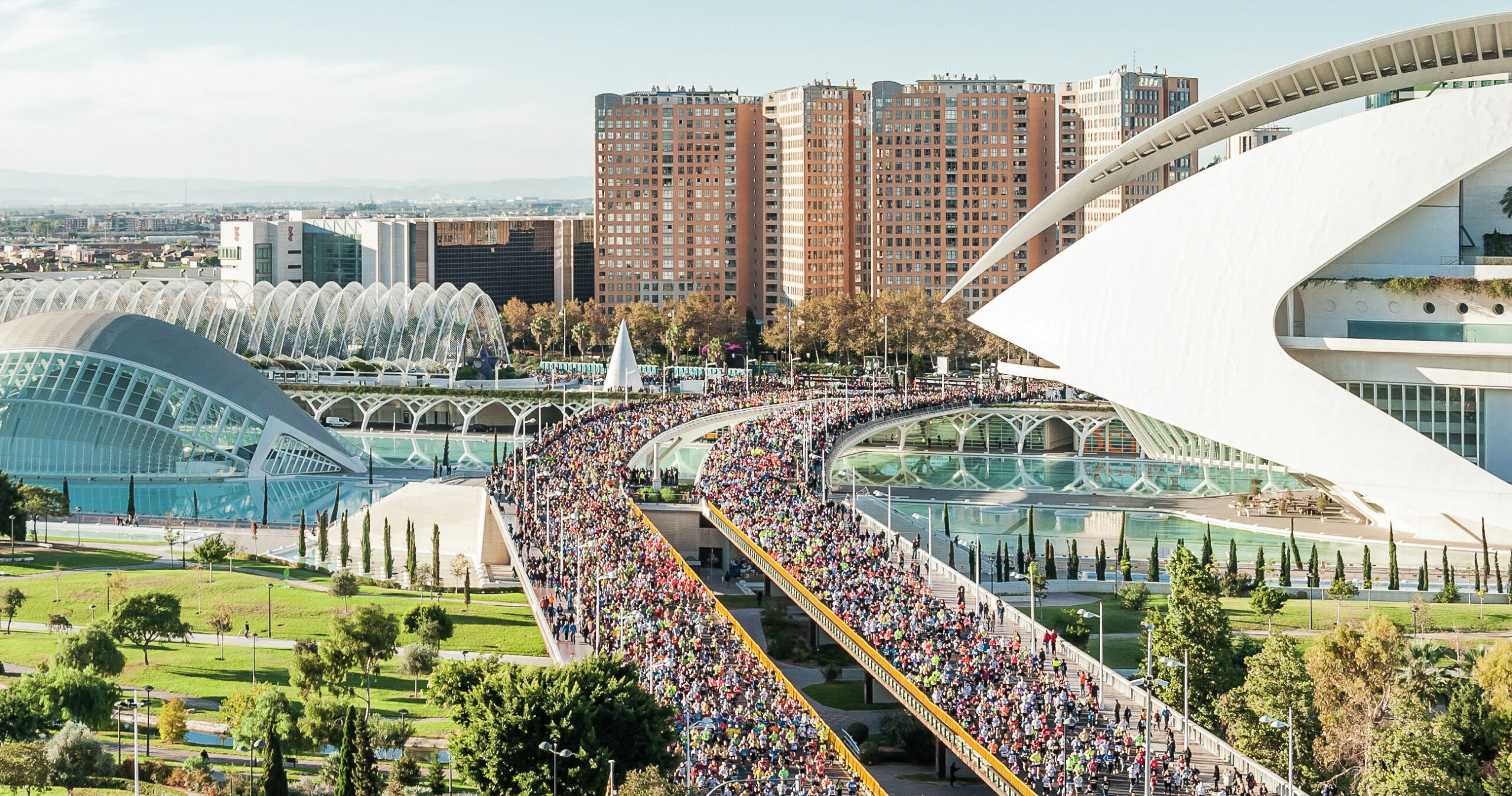 Maraton Valencia Ciudad del Running 0 scaled