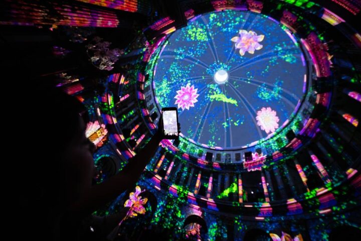 PYC05335 Enlightenment Valencia Picado cupula 1