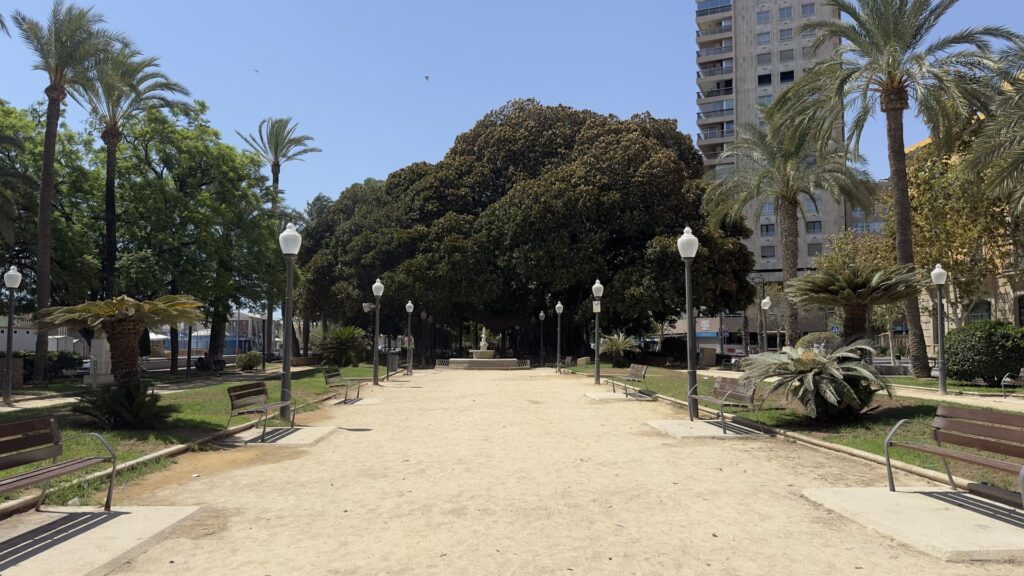 Parque de Canalejas el paseo de los grandes ficus junto al mar en Alicante 2