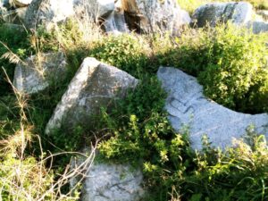 Tortada Febrero 2020 01 768x576 1