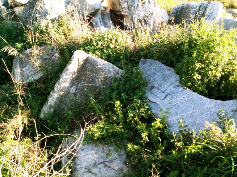 Tortada Febrero 2020 01 768x576 1