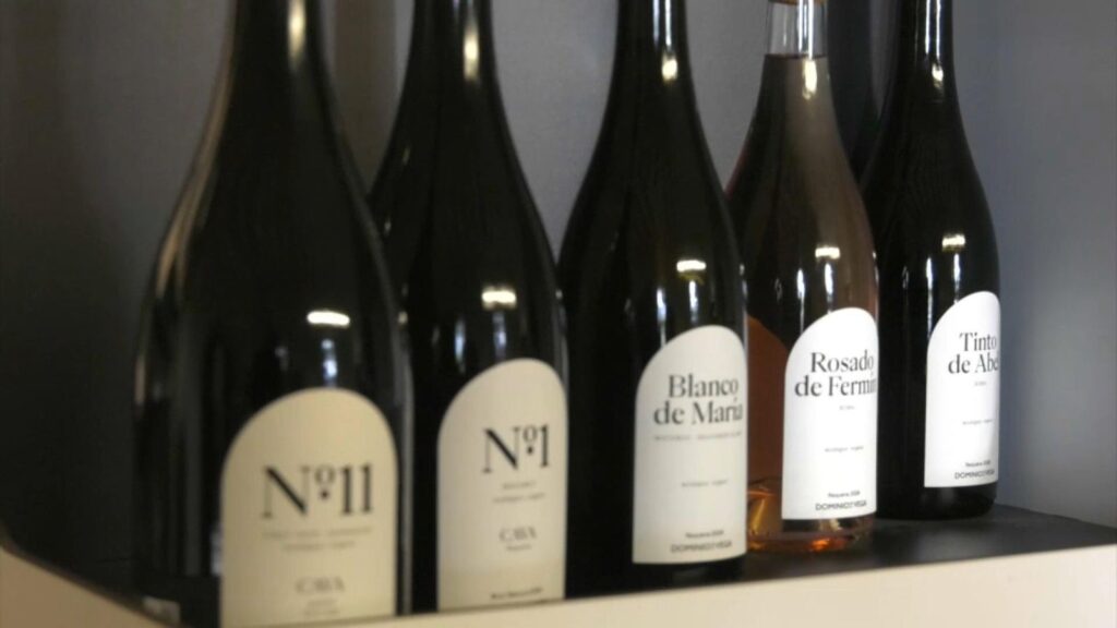 b1229048 fd3e 4552 89c6 a5935036d3cd 16 9 aspect ratio 1600w 0