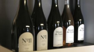 b1229048 fd3e 4552 89c6 a5935036d3cd 16 9 aspect ratio 1600w 0